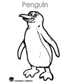 penguin coloring page