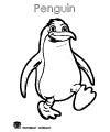 penguin coloring page