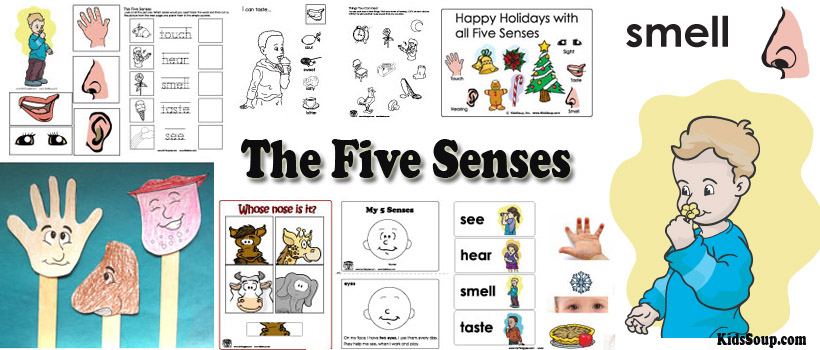 Five Senses preschool and kindergarten activities, lessons, and crafts