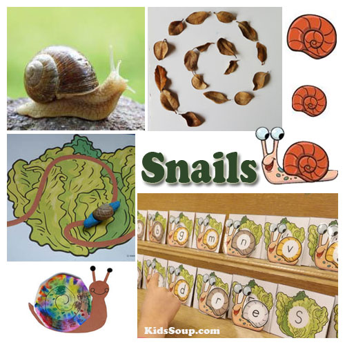 Snails preschool science lessons, activities, and crafts