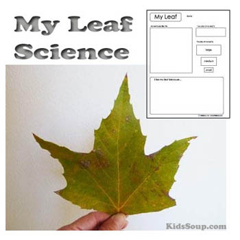 Preschool Kindergarten My Leaf Science Activity and Printable