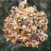 pinecone feeder