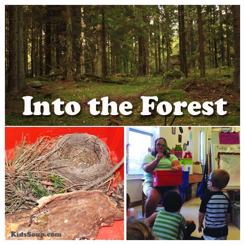 Preschool forest activities, crafts, and lessons