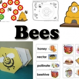 Bees Activities and Crafts for preschool and kindergarten