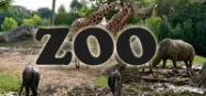 Zoo theme preschool and kindergarten