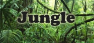 Jungle animals preschool and kindergarten themes